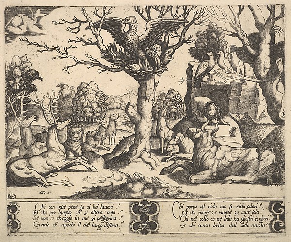Public-domain Renaissance engraving of a phoenix above a gathering of animals